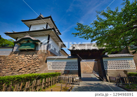 初夏の金沢城公園 初夏の金沢城公園 129498891