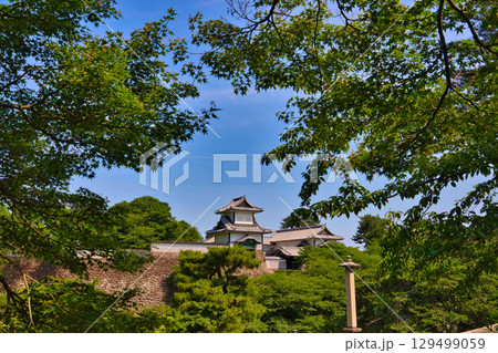 初夏の金沢城公園 129499059