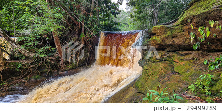 Macaws waterfall in Presidente Figueiredo near Manaus in the amazon region in Brazil 129499289