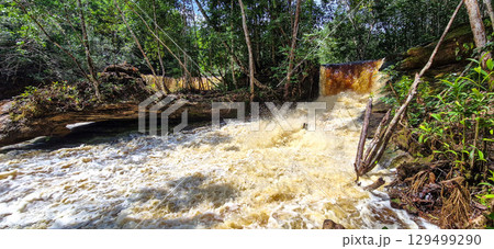 Macaws waterfall in Presidente Figueiredo near Manaus in the amazon region in Brazil 129499290