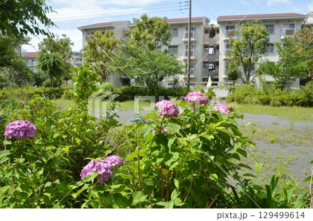 集合住宅 八王子長沼町 集合住宅 八王子長沼町 129499614