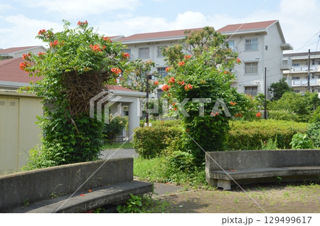 集合住宅　八王子長沼町 129499617