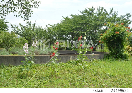 集合住宅 八王子長沼町 集合住宅 八王子長沼町 129499620