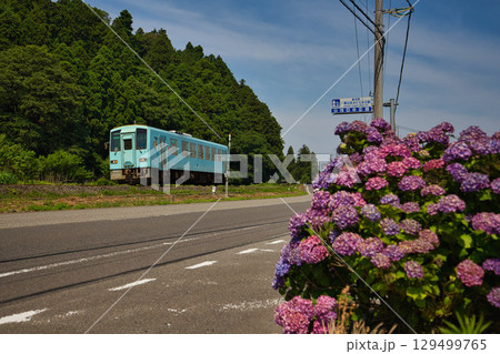 里山に咲く紫陽花と電車と水車 129499765