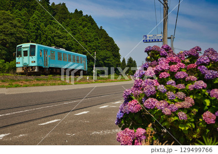 里山に咲く紫陽花と電車と水車 129499766