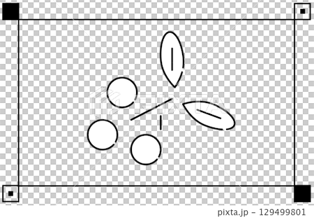南天竹葉和果實的單色線條插圖 129499801