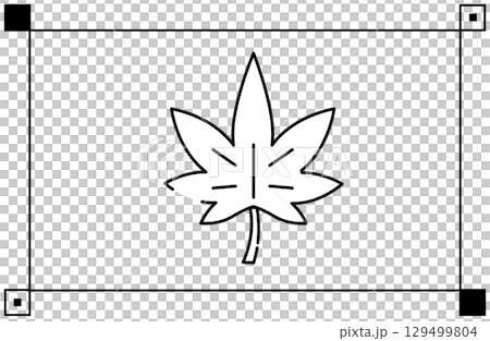 Simple line drawing illustration icon of maple 129499804