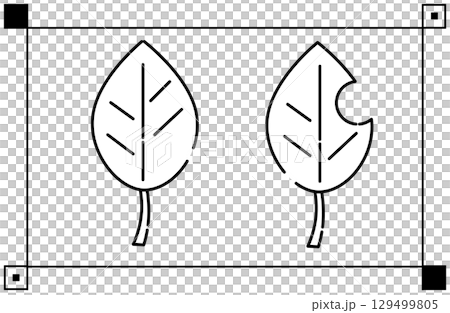 2枚の葉っぱと虫食いのシンプルなイラストアイコン 2枚の葉っぱと虫食いのシンプルなイラストアイコン 129499805
