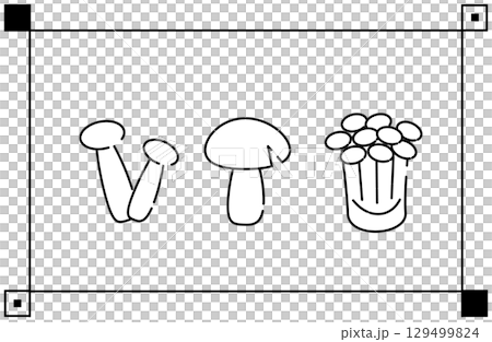 Simple illustrations of shimeji, shiitake and enoki mushrooms Simple illustrations of shimeji, shiitake and enoki mushrooms 129499824
