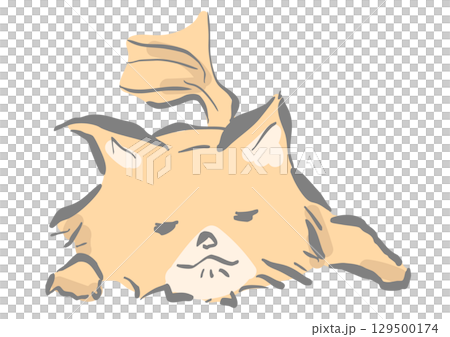 小狗睡覺 129500174