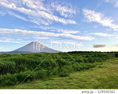 夏空に映える草原と富士山 129500382