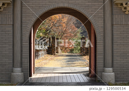 太陽公園石のエリア秋のイメージ 129500534