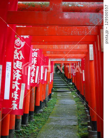 佐助稲荷神社の鳥居 129500557