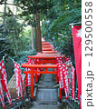 佐助稲荷神社の鳥居 129500558