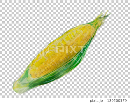 とうもろこし 129500579