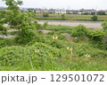 浅川　東京郊外　 129501072