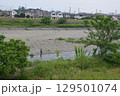 浅川　東京郊外　 129501074
