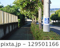 道路　八王子市　 129501166