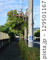 道路　八王子市　 129501167