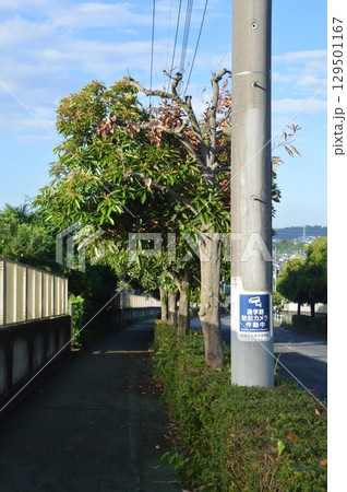 道路　八王子市　 129501167