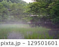 湖畔のロッジ 129501601