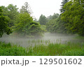小雨の池 129501602