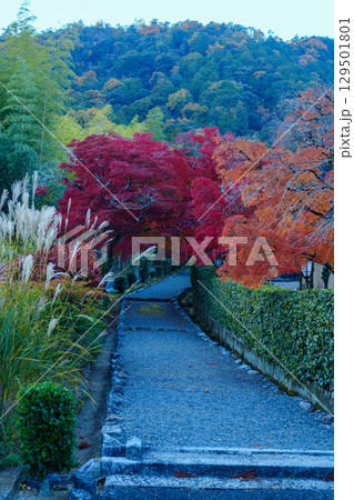 小倉山と紅葉の道 129501801