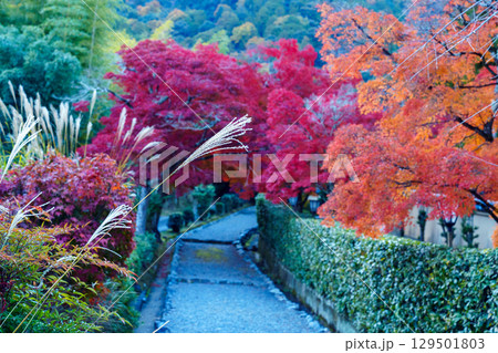 小倉山と紅葉の道 小倉山と紅葉の道 129501803