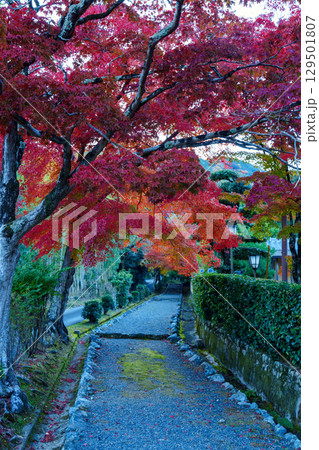 小倉山と紅葉の道 129501807