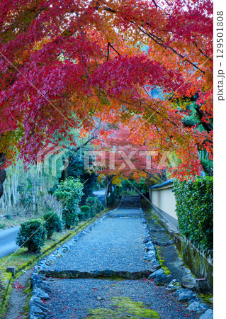 小倉山と紅葉の道 129501808
