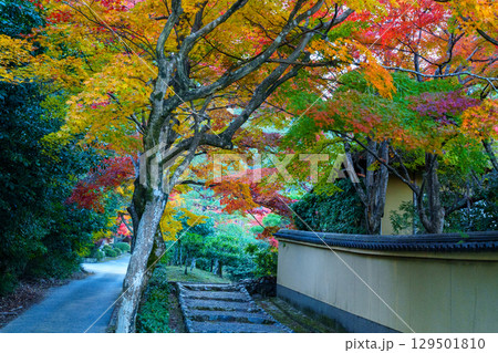 小倉山と紅葉の道 小倉山と紅葉の道 129501810