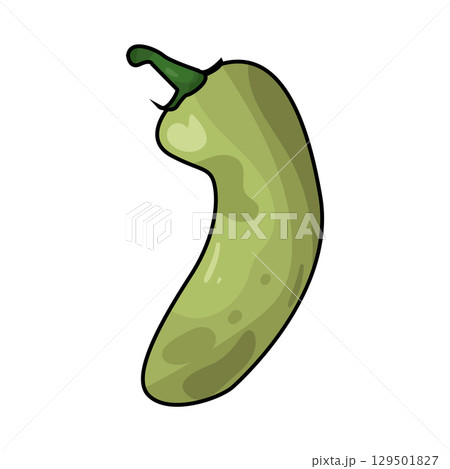 illustration of jalapeno 129501827