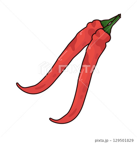 illustration of chili illustration of chili 129501829