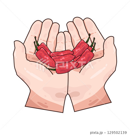 illustration of hand holding chili  129502139
