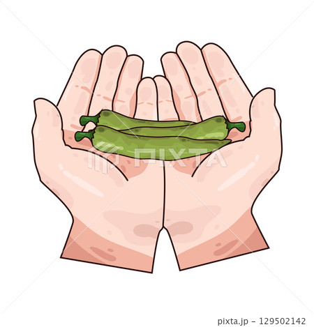 illustration of hand holding chili  129502142