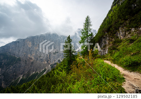 Mountain trail in the Dolomites (Dolomiti, Dolomiten), Italy, leading to Lago Sorapis. The path winds along rocky slopes with stunning views of valleys, forests, and peaks 129502185