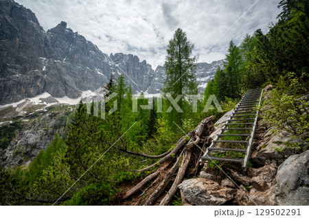 Breathtaking view of forests, mountains, and valleys in the Italian Dolomites (Dolomiti, Dolomiten). Captured from a scenic trail along a rocky ledge. Stunning alpine nature 129502291
