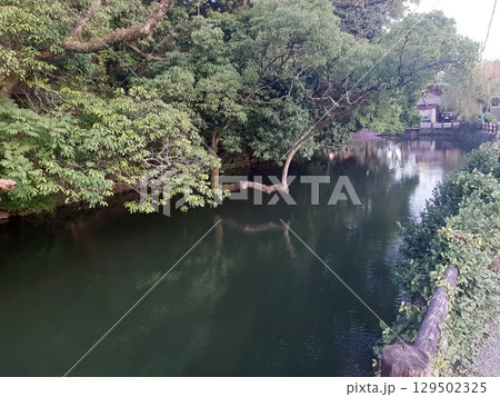 緑のある風景 川の景色 柳川 緑のある風景 川の景色 柳川 129502325