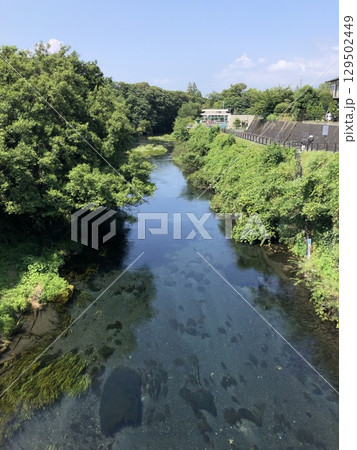新緑に包まれた田舎の風景 新緑に包まれた田舎の風景 129502449