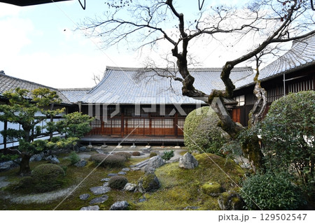 西国三十三箇所　三宝院　日本庭園 129502547