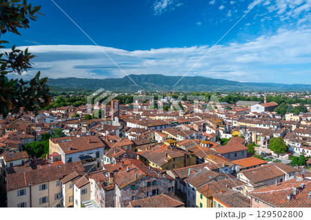 Panoramic view of Lucca, Italy, with red brick rooftops and historic churches seen from above. Tuscan hills and mountains form a stunning summer backdrop under a clear blue sky. Panoramic view of Lucca, Italy, with red brick rooftops and historic churches seen from above. Tuscan hills and mountains form a stunning summer backdrop under a clear blue sky. 129502800
