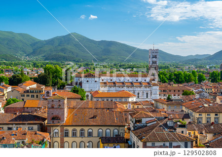 Panoramic view of Lucca, Italy, with red brick rooftops and historic churches seen from above. Tuscan hills and mountains form a stunning summer backdrop under a clear blue sky. 129502808