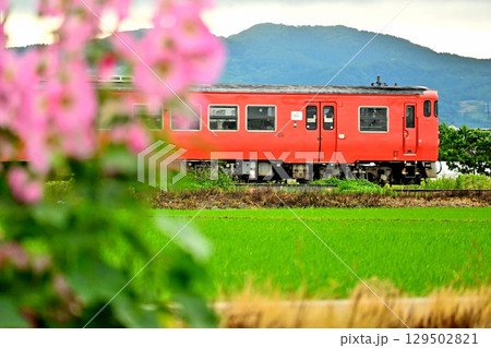 城端線と立葵の花　田舎の風景 129502821