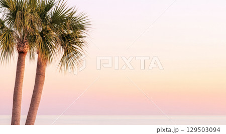 Two palm trees on serene sunset beach with pastel sky, nature background 129503094