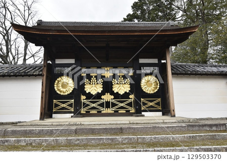西国三十三箇所　醍醐寺 129503370
