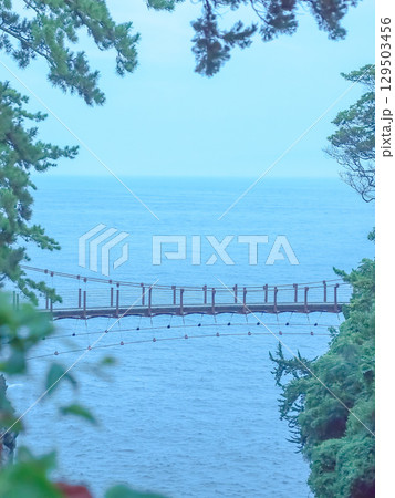 木々の間から見える吊り橋 129503456