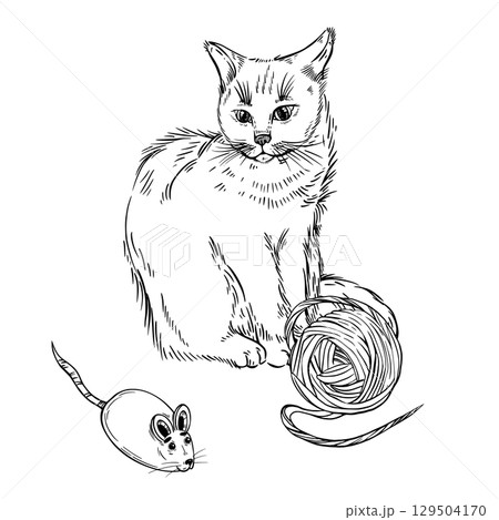 A fluffy cat and toys, a mouse, a ball of thread, all objects are hand-drawn with ink. Vector illustration for postcards, veterinary clinics, design of products for animals. Vector illustration A fluffy cat and toys, a mouse, a ball of thread, all objects are hand-drawn with ink. Vector illustration for postcards, veterinary clinics, design of products for animals. Vector illustration 129504170