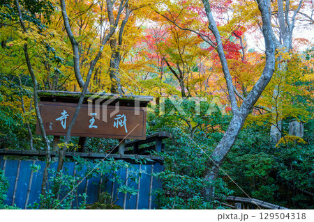 紅葉に包まれた祇王寺の参道 紅葉に包まれた祇王寺の参道 129504318