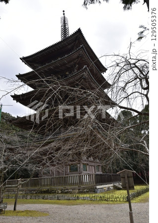 西国三十三箇所 醍醐寺 西国三十三箇所 醍醐寺 129505376