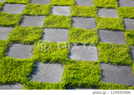 Patterned grass and concrete walkway forming a checkerboard design in outdoor sunlight. Patterned grass and concrete walkway forming a checkerboard design in outdoor sunlight. 129505406
